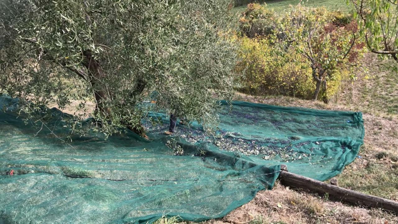 Villa Porsenna Chiusi Eksteriør bilde